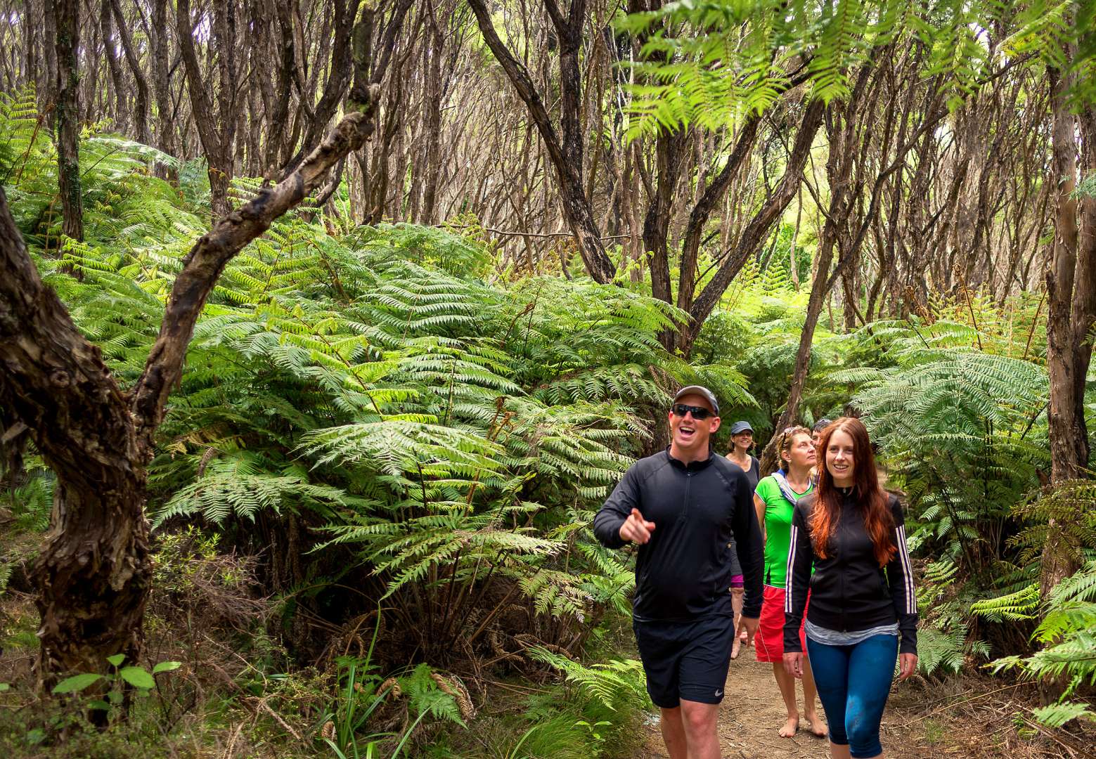 Forest hike